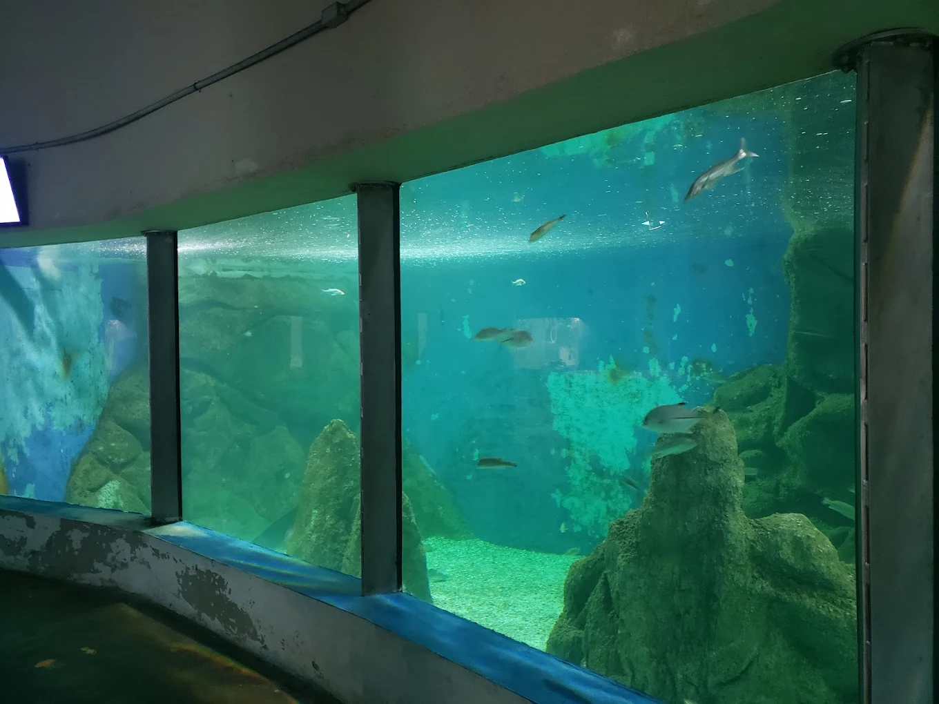 Aquário Marinho de Paranaguá